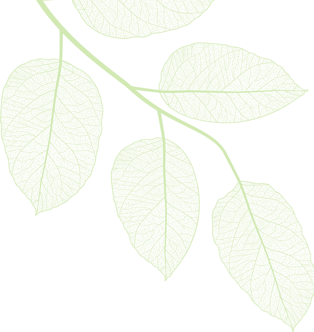 Large decorative stick with leaves