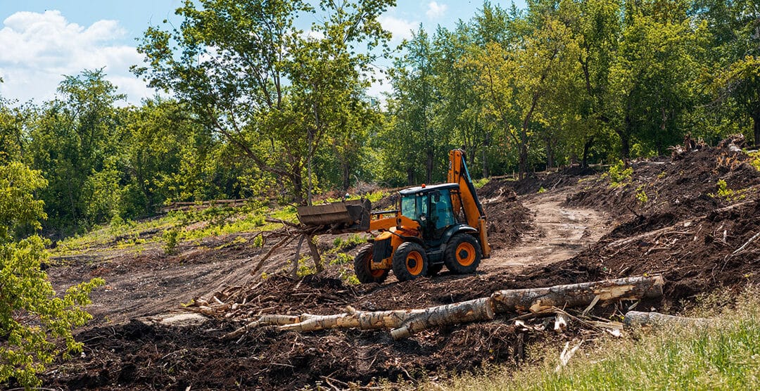 Unleashing the Potential of Your Property: A Guide to Yard and Lot TLC