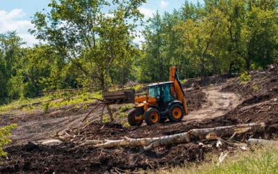 Unleashing the Potential of Your Property: A Guide to Yard and Lot TLC