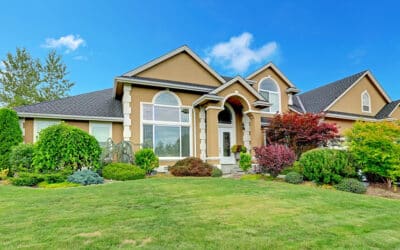 Mercer Tree Service Expands Operations to Serve You Better