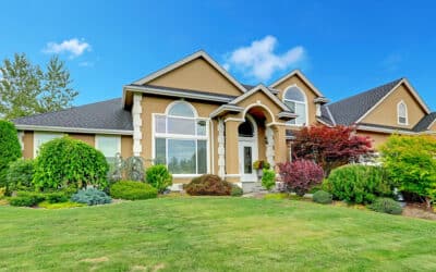 Spring into Action: Ensuring Your Trees Thrive This Season