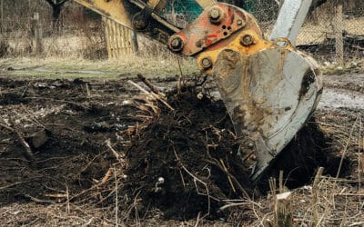 Beyond Tree Removal: Comprehensive Land Clearing Services by Mercer Tree Service