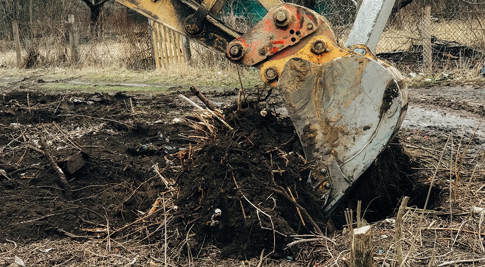 Beyond Tree Removal: Comprehensive Land Clearing Services by Mercer Tree Service