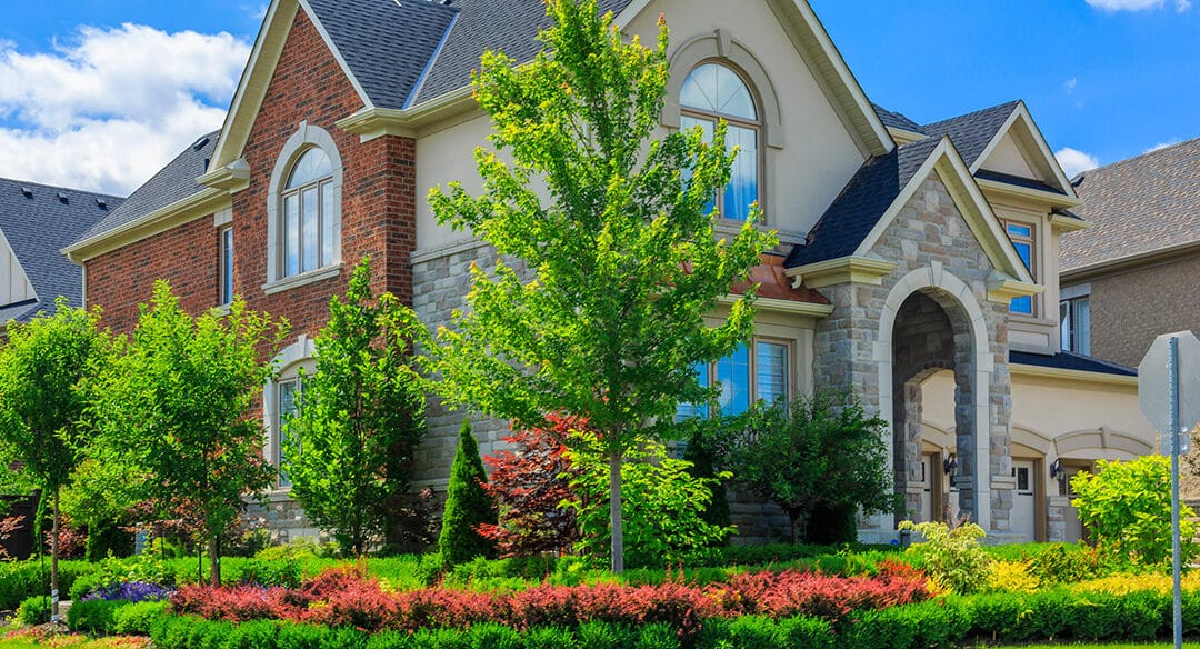 The Best Time to Plant Trees on Your Property? End of Summer or Early Fall