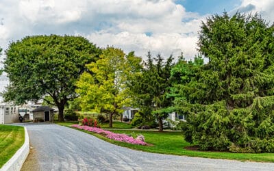 Getting your trees ready for this summer