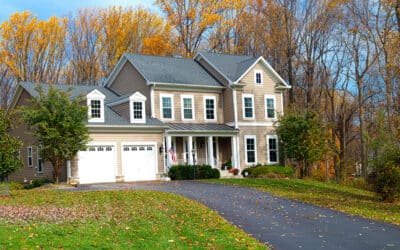 Getting Your Property’s Trees Ready for the Winter Season