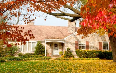 Getting Your Property’s Trees Ready for the Winter Season