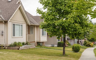 How Healthy Trees Can Transform and Strengthen Your Landscape