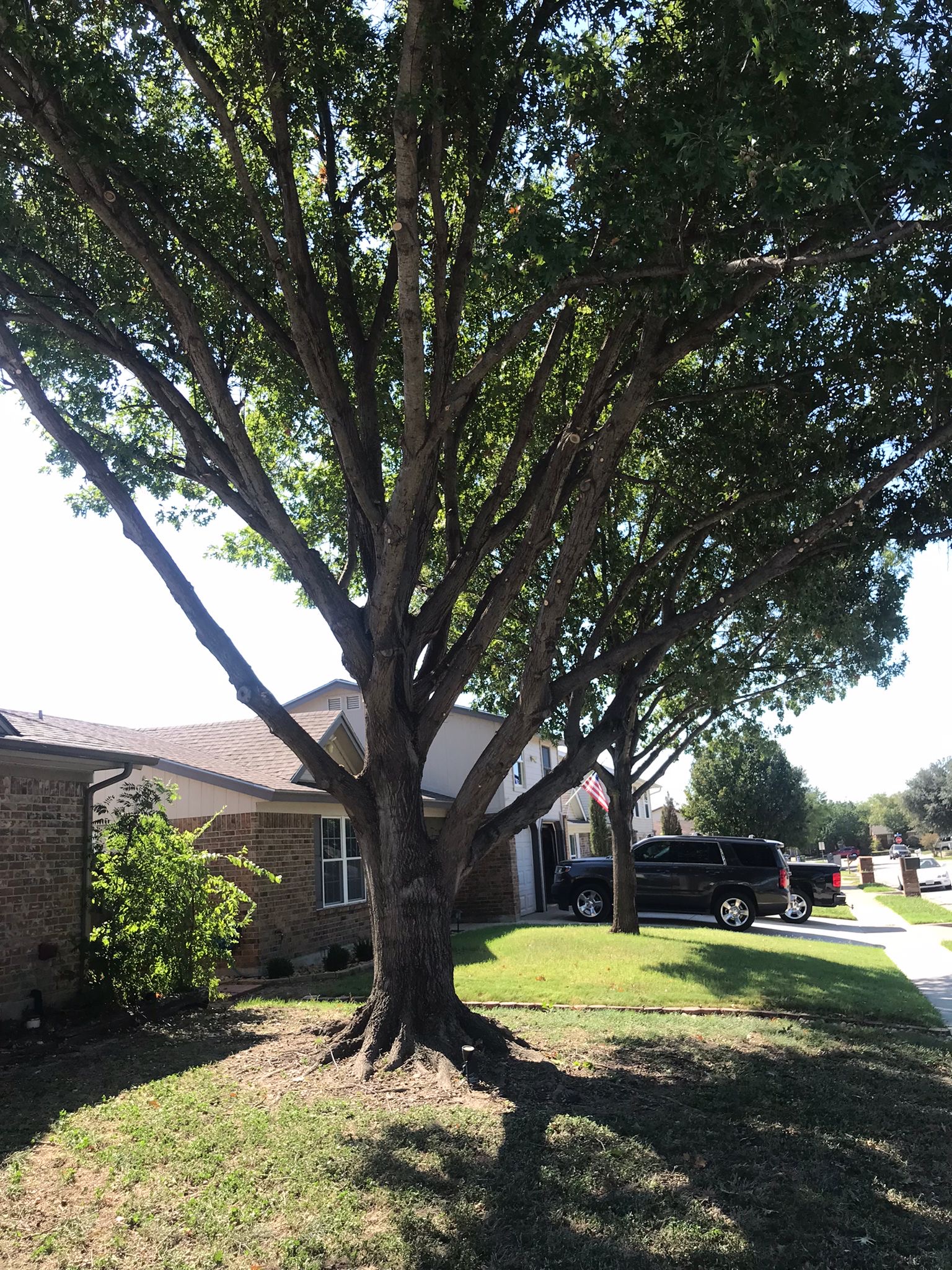 A truck and a house during residential tree service in Wake Forest, NC