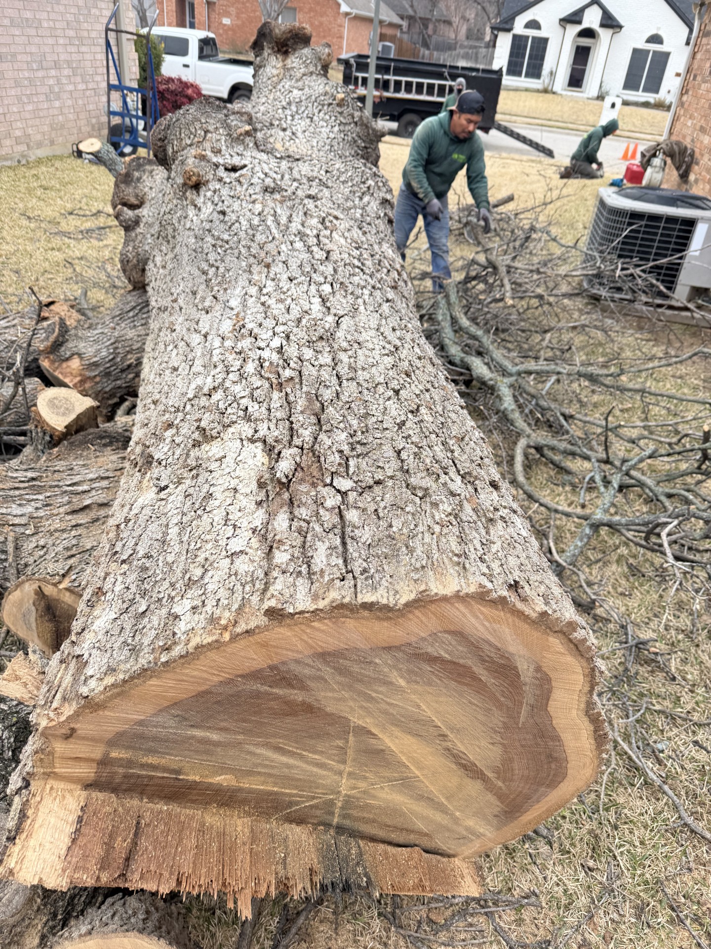 A truck and a house during residential tree service in Wake Forest, NC