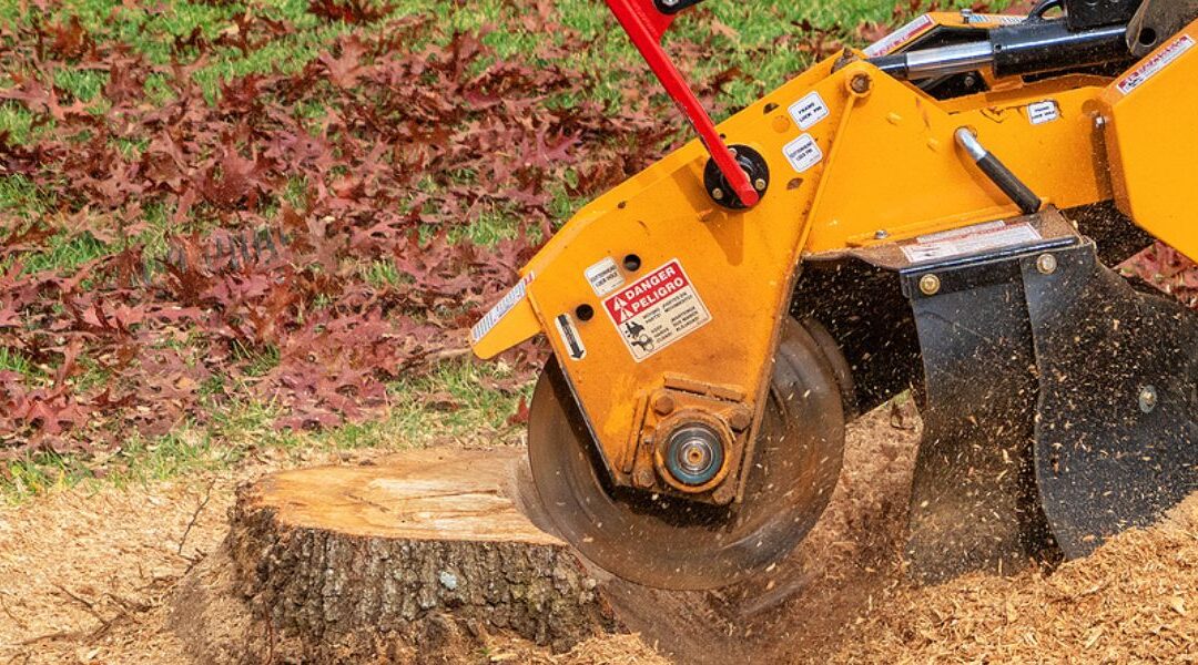 Four Benefits of Stump Grinding in Watauga, TX