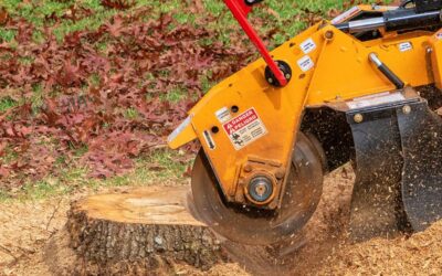 Four Benefits of Stump Grinding in Watauga, TX