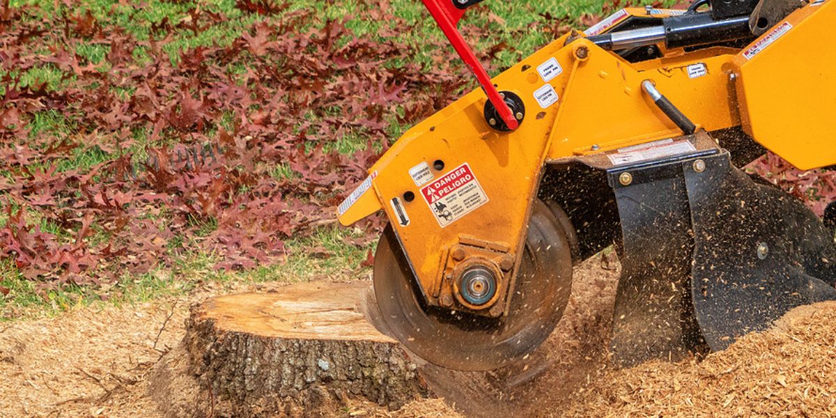 Freshly ground tree stump in a residential yard after professional stump grinding service to improve safety and landscape appearance | Benefits of Stump Grinding